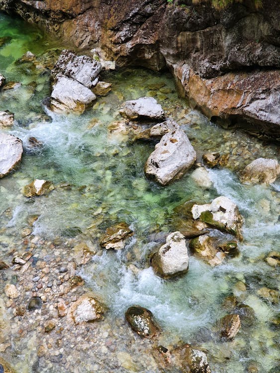 Fly fishing in a mountain river near Valemount